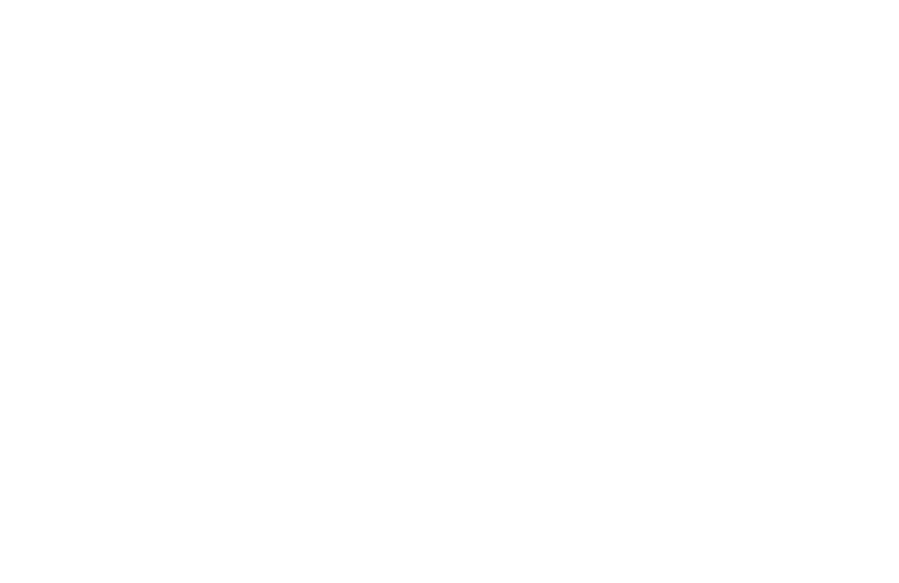 The Human Being Institute